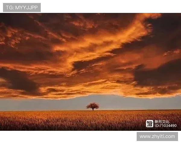 2017年水星逆行对天空变化的深度解析与未来趋势预测 2017年水星逆行对天空变化的深度解析与未来趋势预测